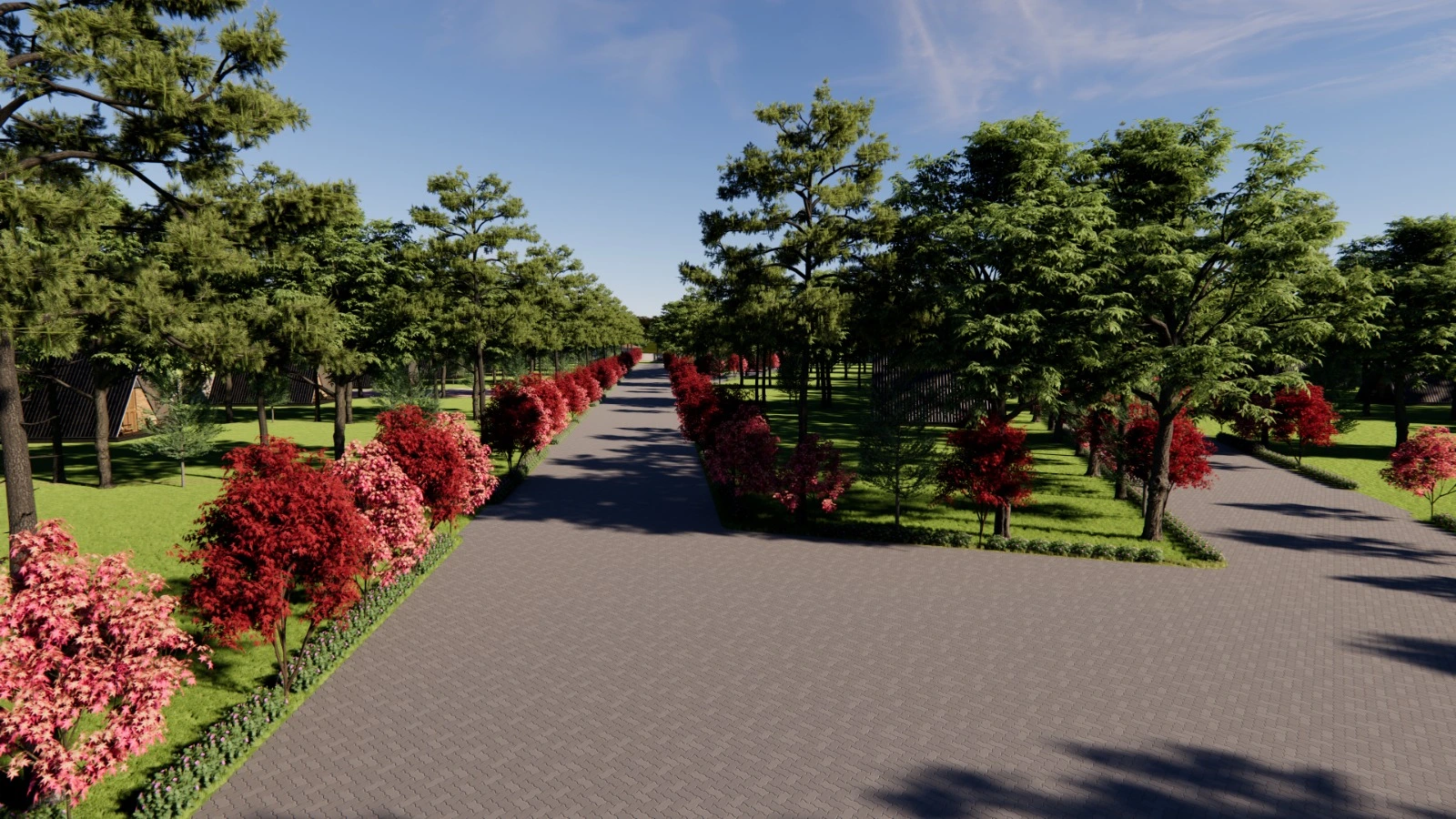 ORO LAND Image 2