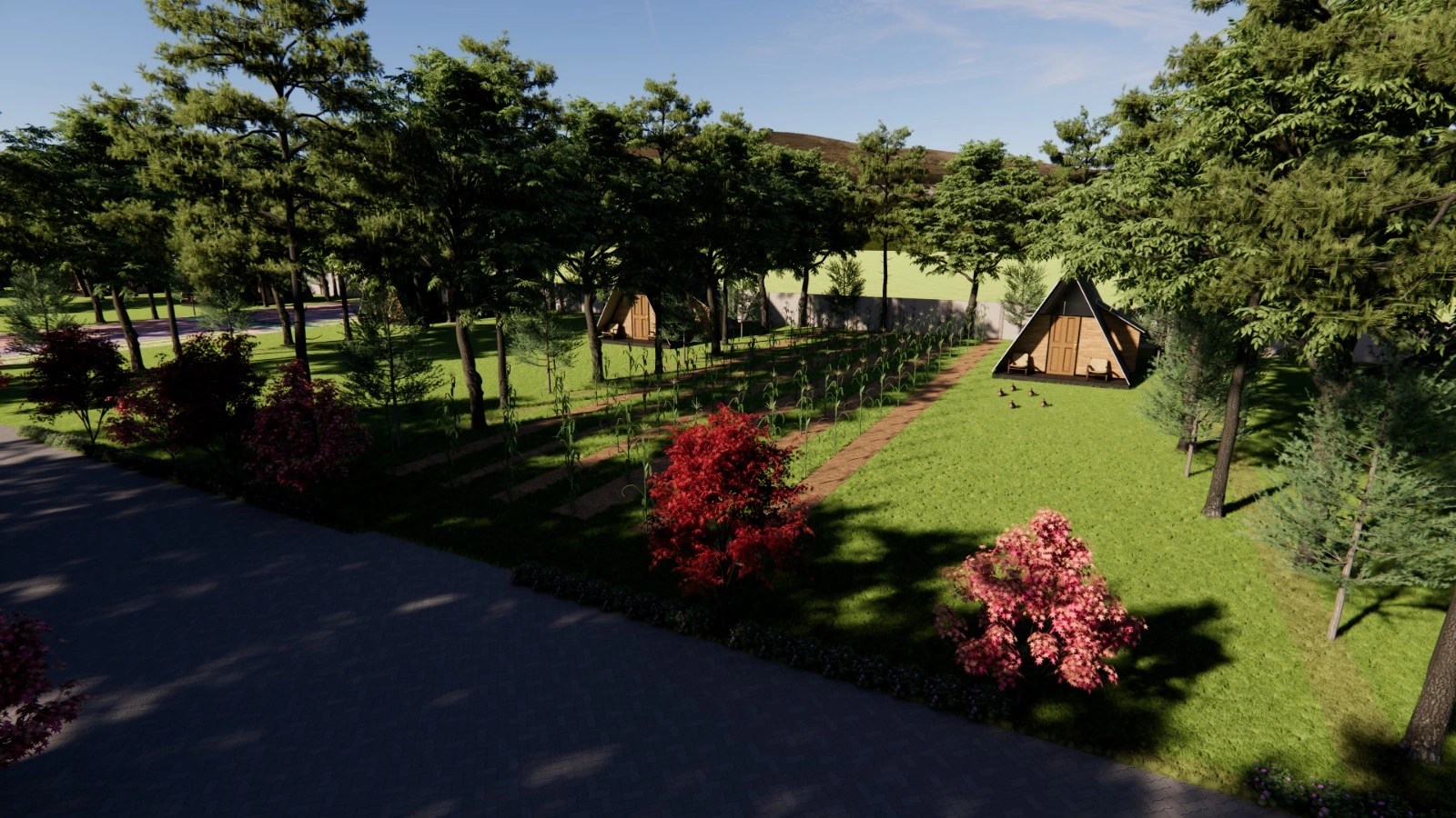 ORO LAND Image 7