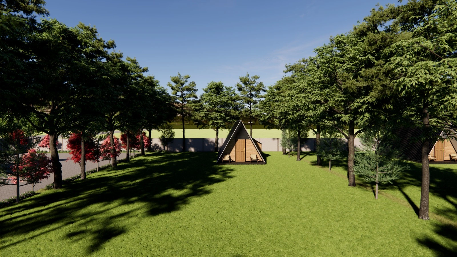 ORO LAND Image 8